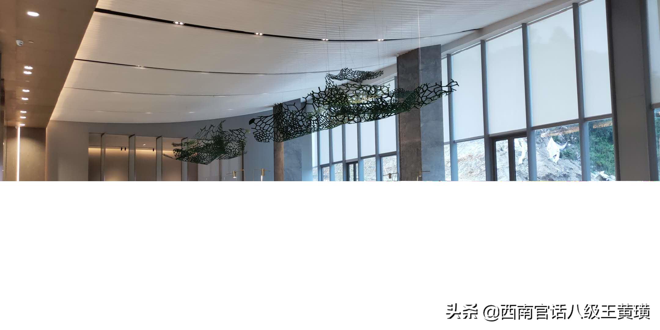 看房全过程讲解视频,实地看房买房攻略