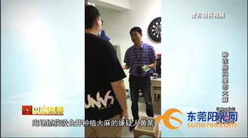 别人种花,别人种花我种葱