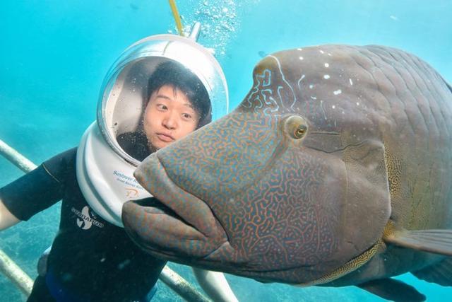 暑假带孩子环游中国,暑假带孩子来体验太空之旅