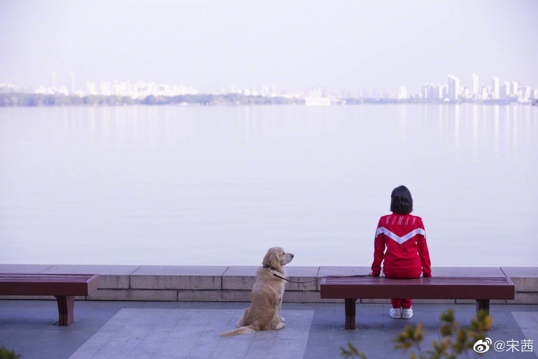 杨幂魏大勋帽子,杨幂魏大勋撇清关系