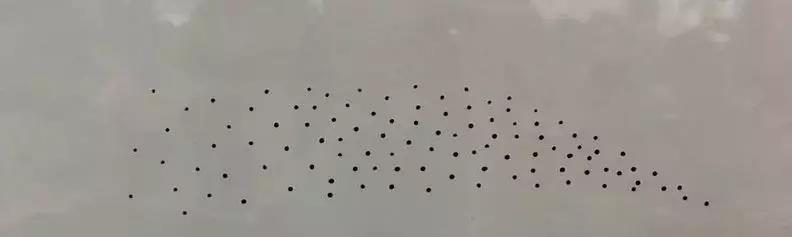 线条眉不洗能直接做雾眉吗,线条眉后期可以改雾眉吗