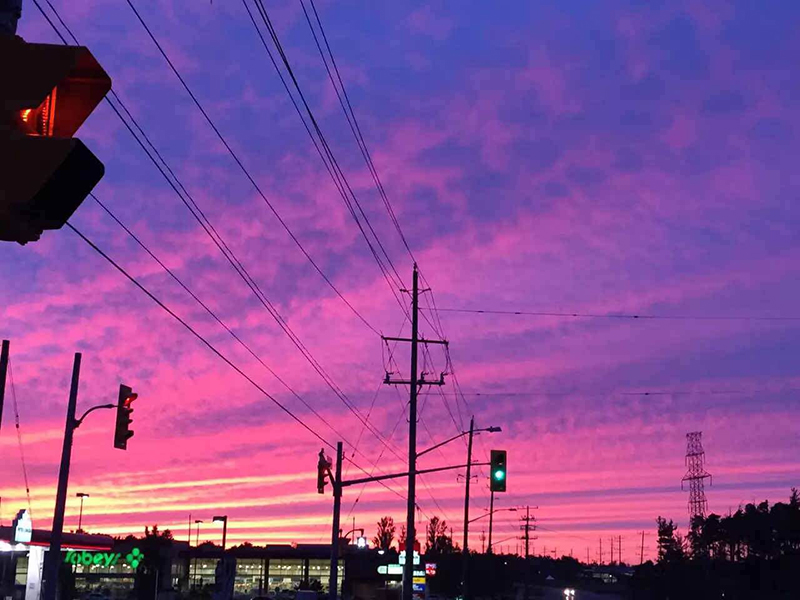 2019年秋季入学英国院校接机服务