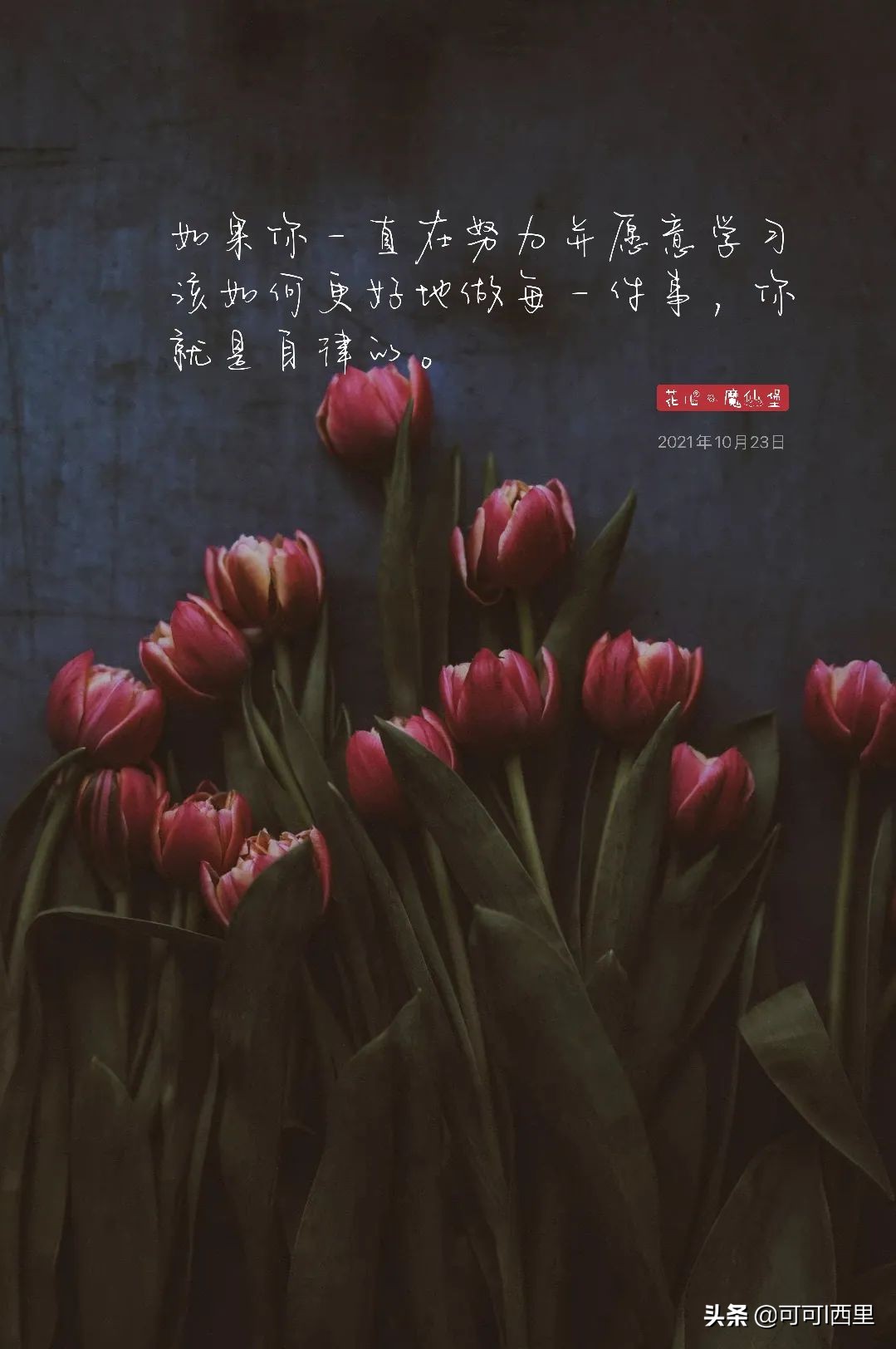 知足不常乐议论文600字,知足不知足诗词