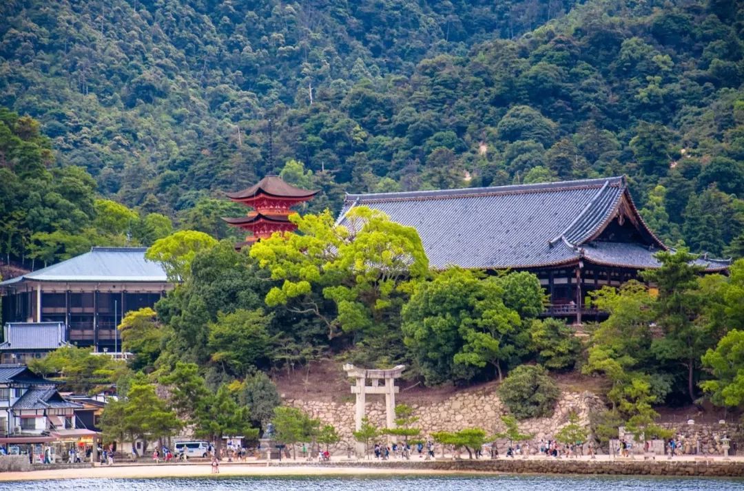 看惯了千篇一律,看惯了千篇一律的风景