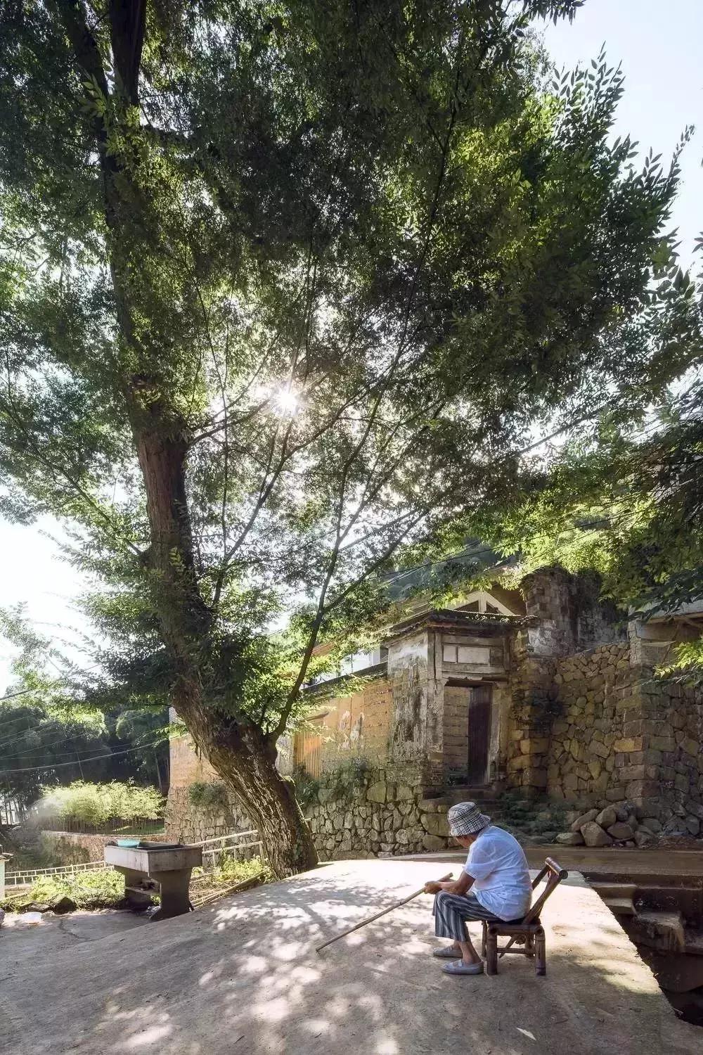 住遍莫干山网红民宿,住遍云南民宿