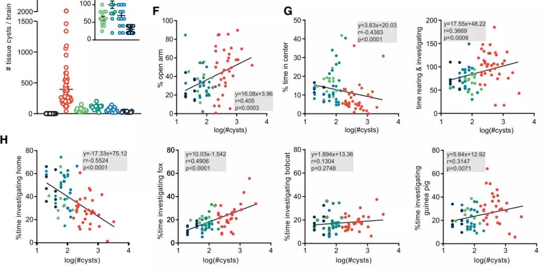 老鼠怕猫吗科学实验,什么老鼠不怕猫脑筋急转弯