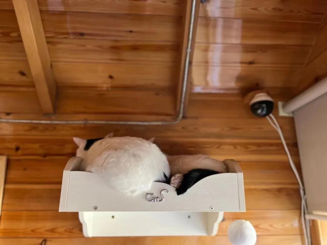 浣犺兘鐚滃嚭璋佺畻鎴戣緭,浣犵寽寰楀嚭鏉ョ畻鎴戣緭