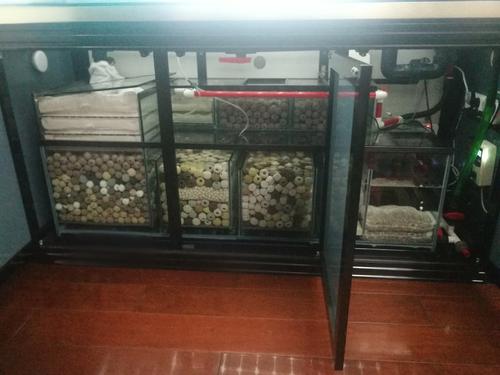 裸缸水质浑浊如何打造空气缸,鱼缸开缸水质怎么改善