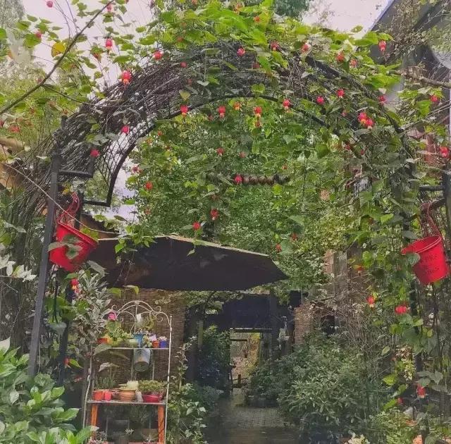 成都哪些值得去的农家乐,春季成都十大必去农家乐