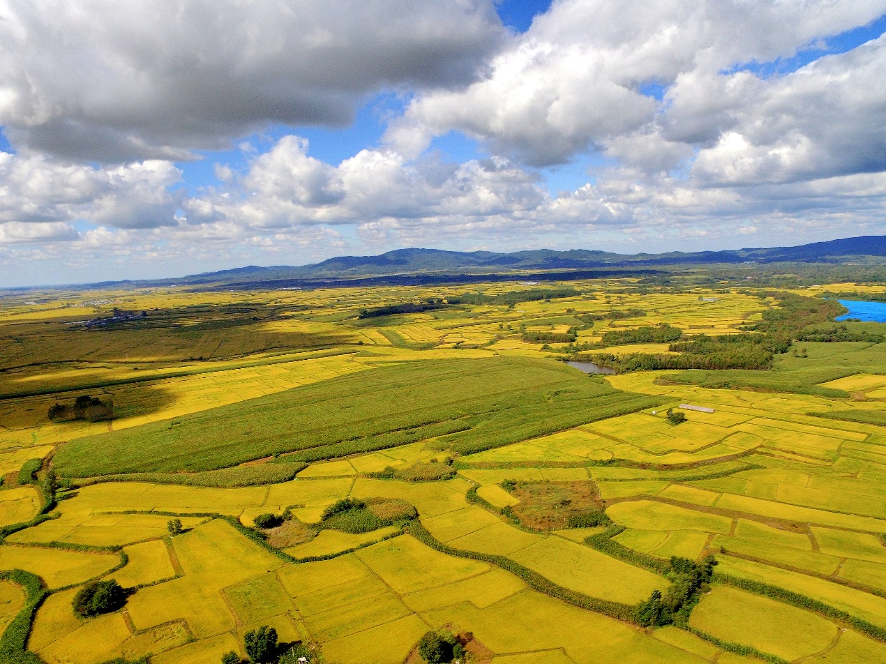 我用4年的时间，60万启动资金，从0做到了1.5个亿