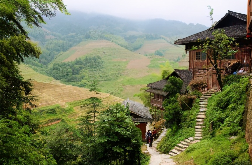 新时代农村生态环境保护,农村生态环境存在的问题及对策