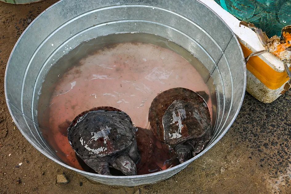 满满的烟火气逛大集真好玩,最值得逛的大集