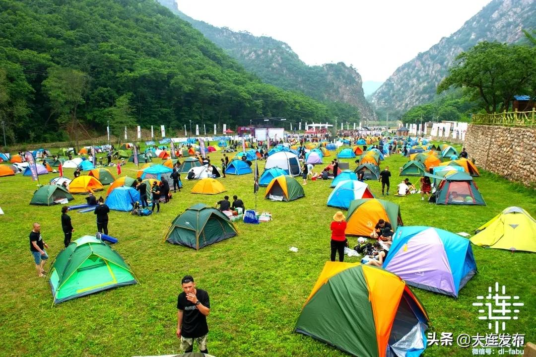 大连最美赏槐露营地,槐之乡露营地