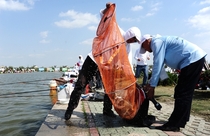 冬季钓鲫鱼浮漂上顶中鱼什么情况,钓鲫鱼总是顶漂
