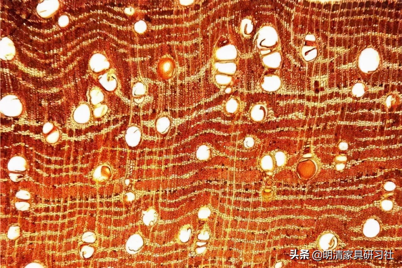 一文读懂沉香,一文读懂瓷器