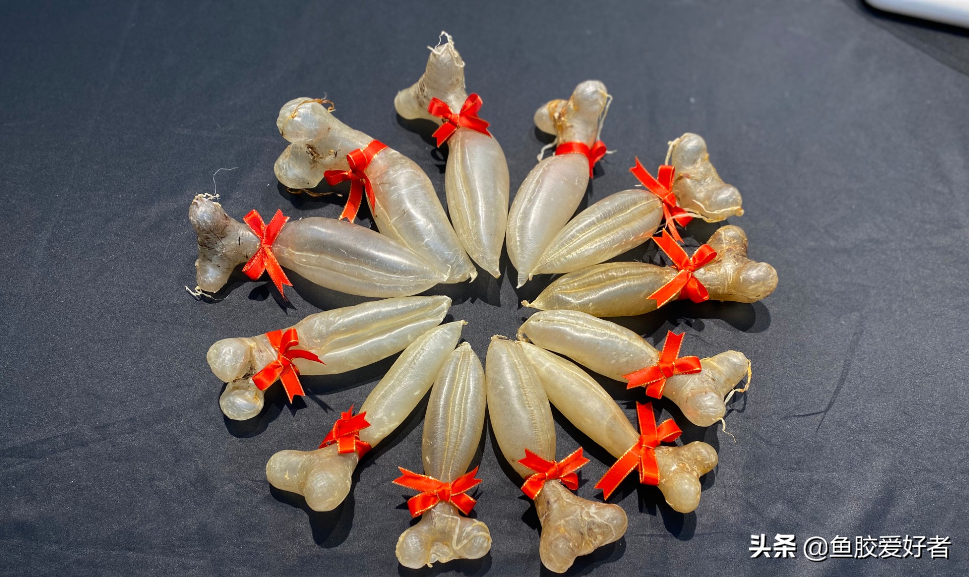 怎么买鱼胶不踩坑,怎么购买鱼胶最好