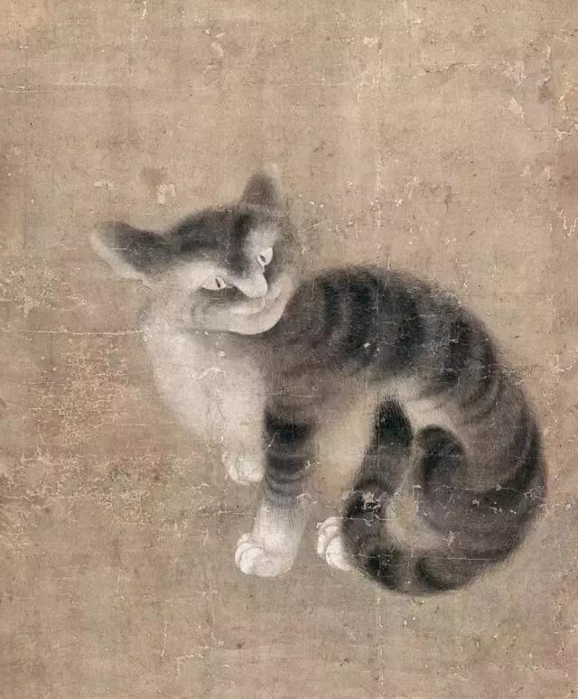 故宫十大御猫小崽儿,历史上真实的故宫御猫