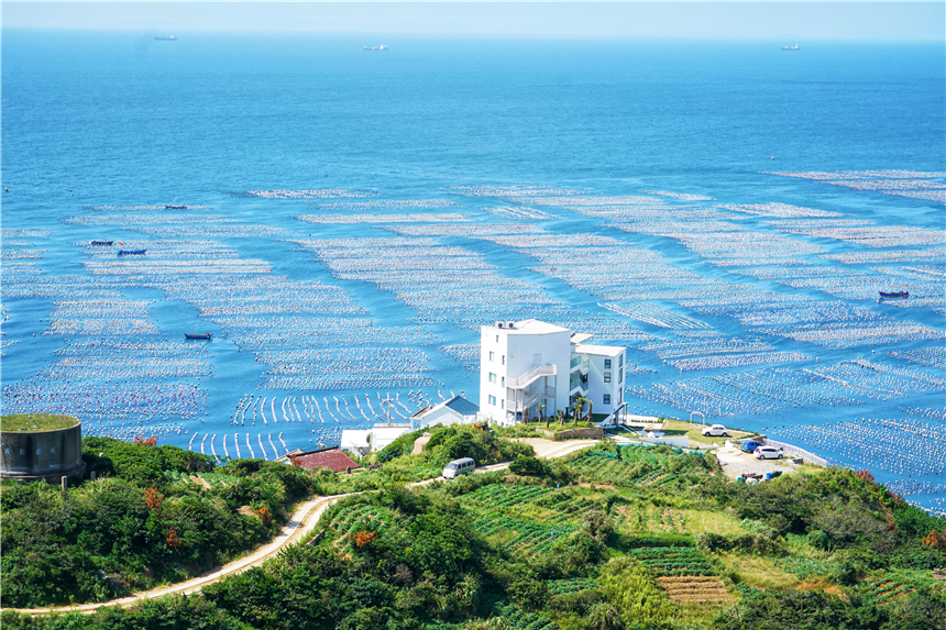 嵊泗旅游美食攻略,嵊泗攻略3天2夜美食推荐