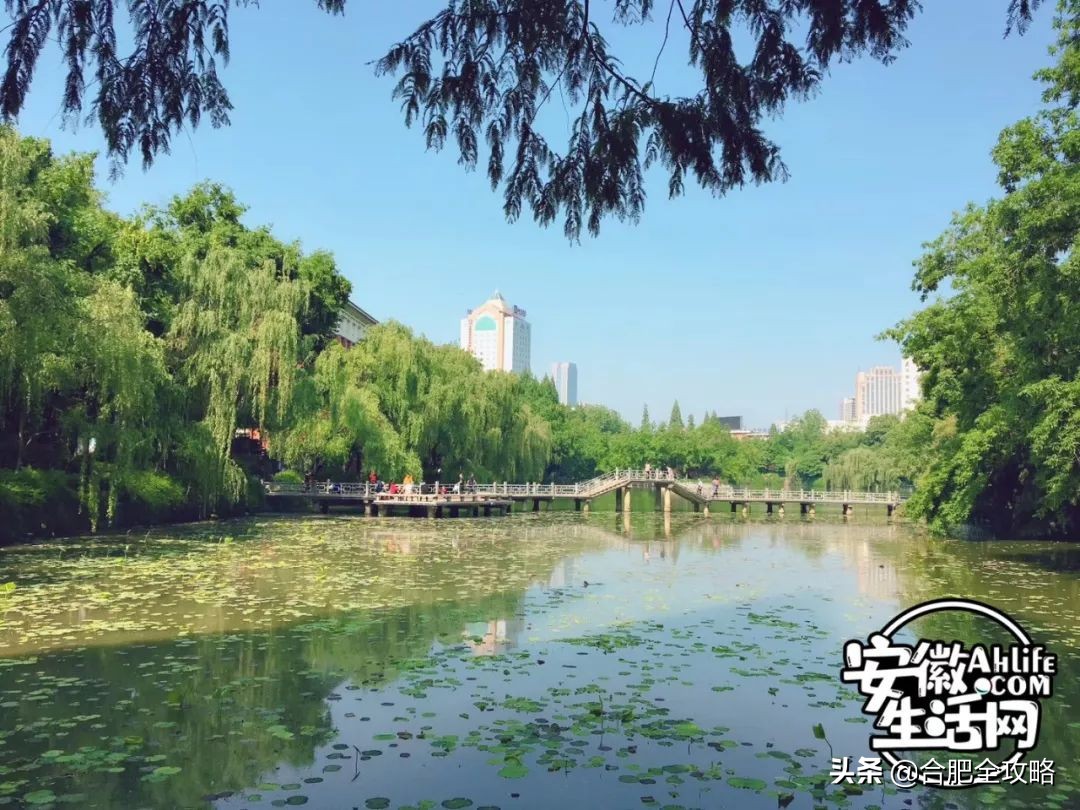 合肥是一座温暖的城市,合肥是一个有灵魂的城市