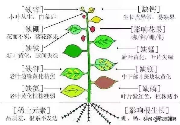 酸性土壤板结还是碱性土壤板结坏,土壤板结是怎么样的