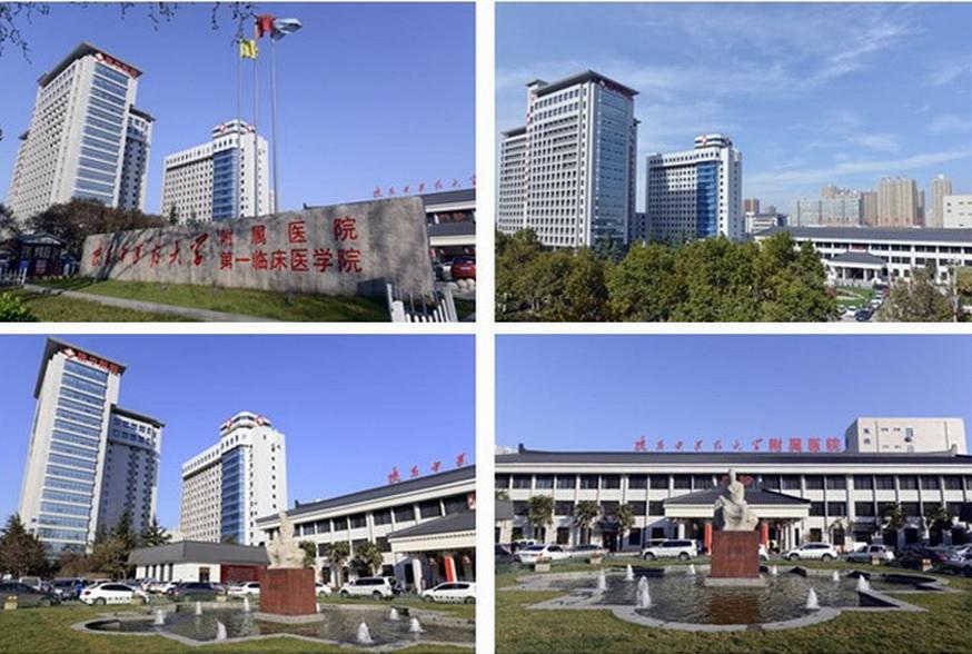 脱发的你被生姜骗了多少年？王李雯博士为你揭开谜底