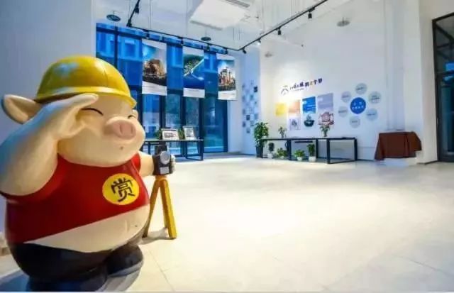 互联网行业哪个城市潜力大,互联网大厂在哪些城市比较多