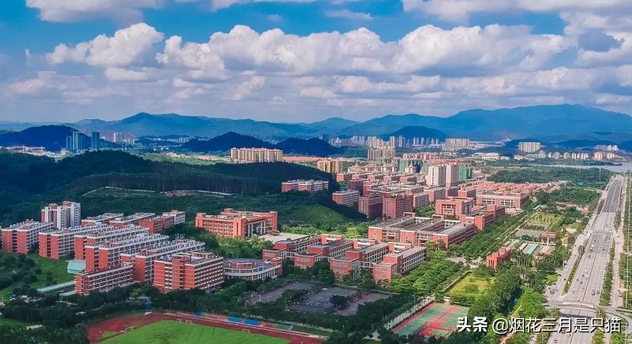 还在为选学校发愁吗,还在为选项目发愁吗