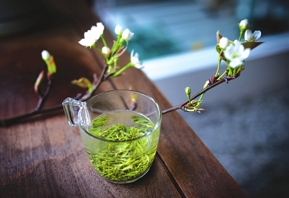 碧螺春是什么名茶,碧螺春属于什么茶