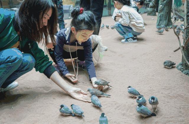 合肥动物园值得看的地方,合肥最好玩的动物园是哪
