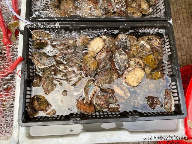 泉州休渔期什么时候结束,泉州休渔期2022时间表