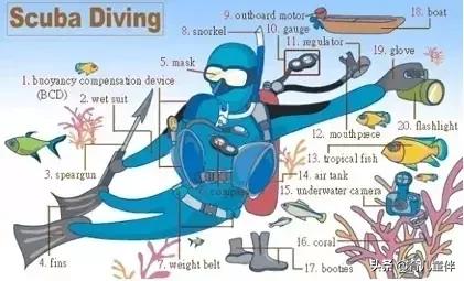 34张图让孩子记住英语中所有生活用词！老师惊呼，太值了