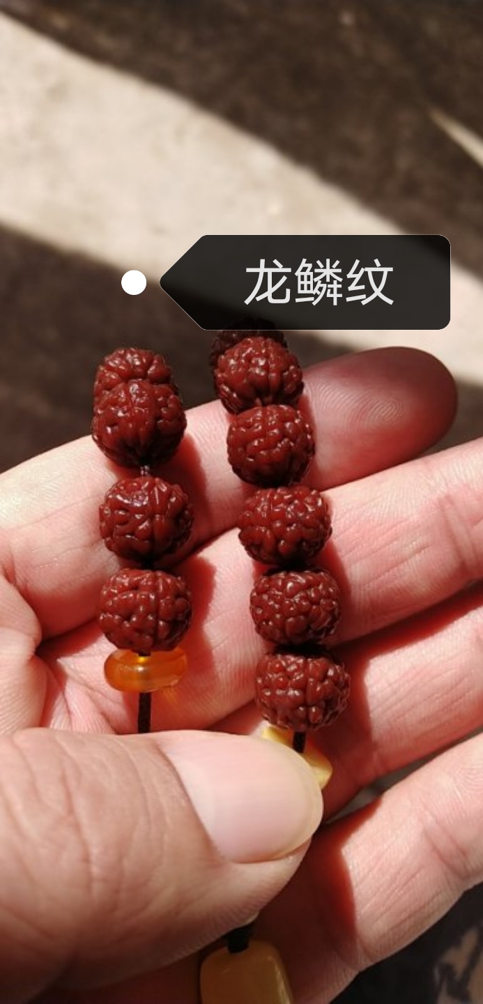 印尼金刚菩提是落地红吗,金刚菩提印尼跟尼泊尔