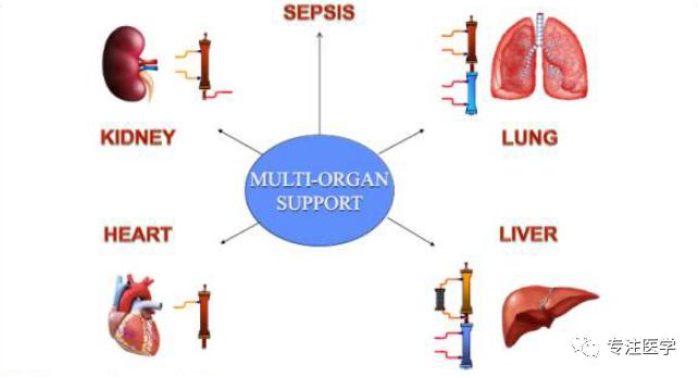 CRRT治疗的指征及时机