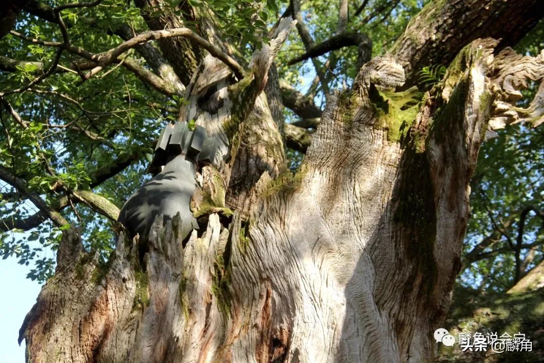 瑞金共和国摇篮景区的感受,瑞金共和国摇篮景区一日游