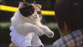 明星喜欢的平价饰品,ysl假货与真货对比