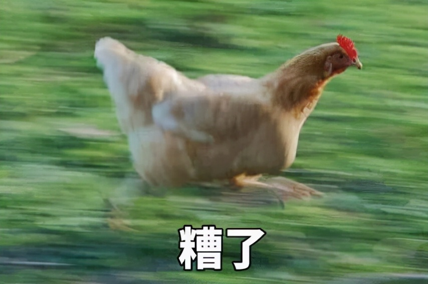 性价比高的春夏单鞋推荐,好穿不累脚的单鞋推荐