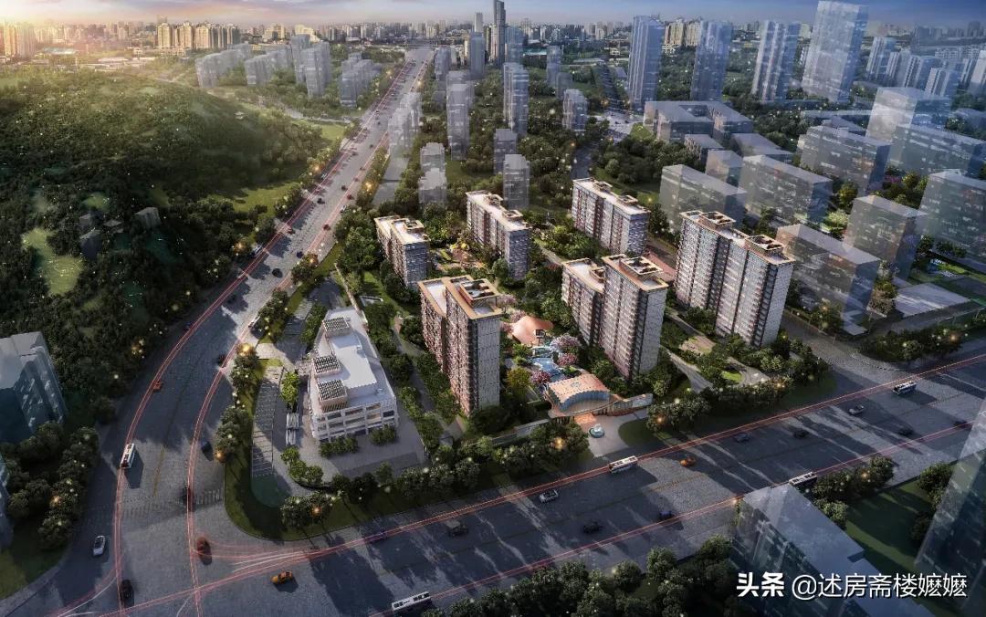 楼嬷嬷｜天奕二期升级而来，一场空中发布会让世界仰望