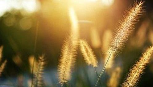 人生落魄时，要学会调整心态