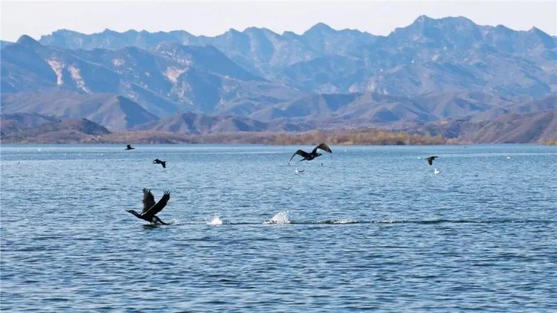 京郊盘山公路自驾游,京郊自驾游十条最佳路线