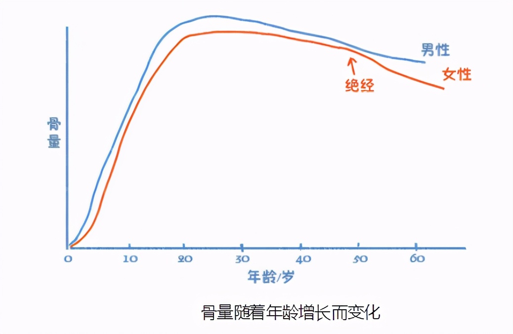 身体体质自检表您一定要测试一下,判断身体健康指数的方法