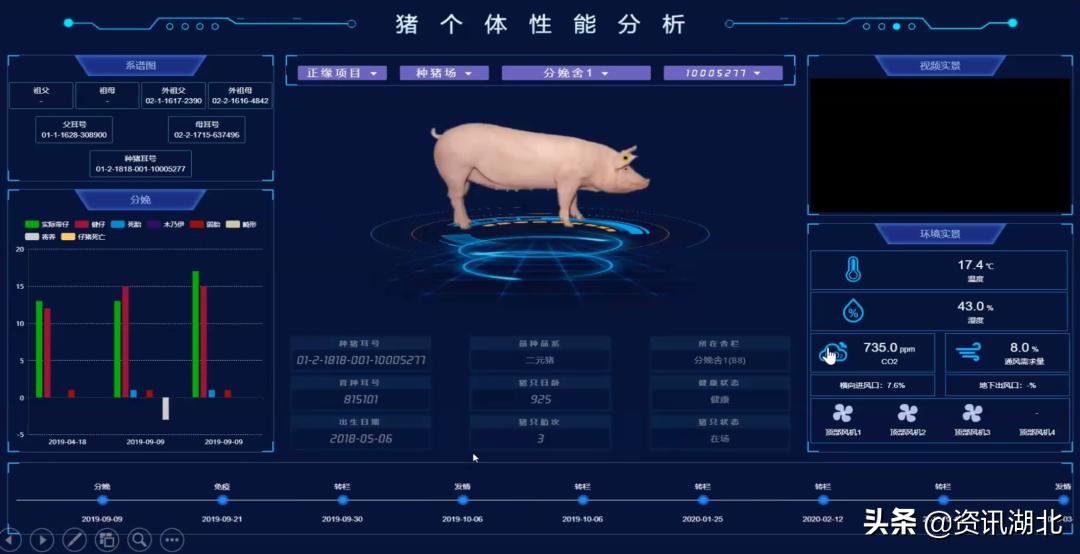 正大集团现代化养猪基地,正大集团生猪项目