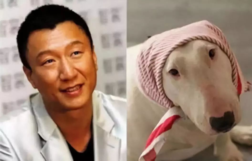 明星撞脸不可怕性别不同就尴尬,意想不到的明星撞脸