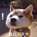 跑步小腿变粗案例,跑步杀人案真实案件