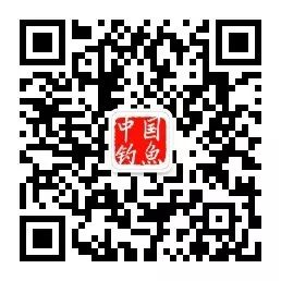 苏州渔具展浙江钓箱,苏州渔具展鱼钩