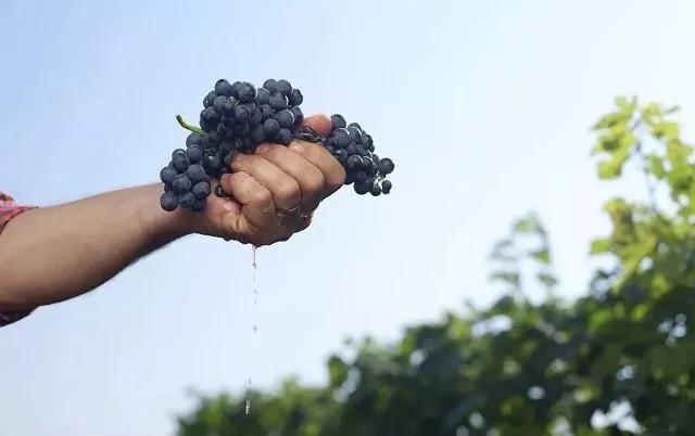 哺乳期咋区分囊肿和肿块,新手妈妈乳房结块