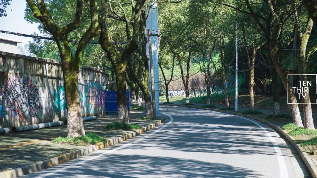 武汉公园免费景点推荐,武汉免费看花景点