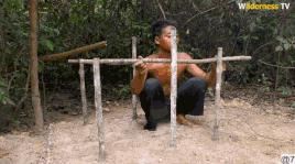 花三年建宠物乐园,花20万给狗打造乐园