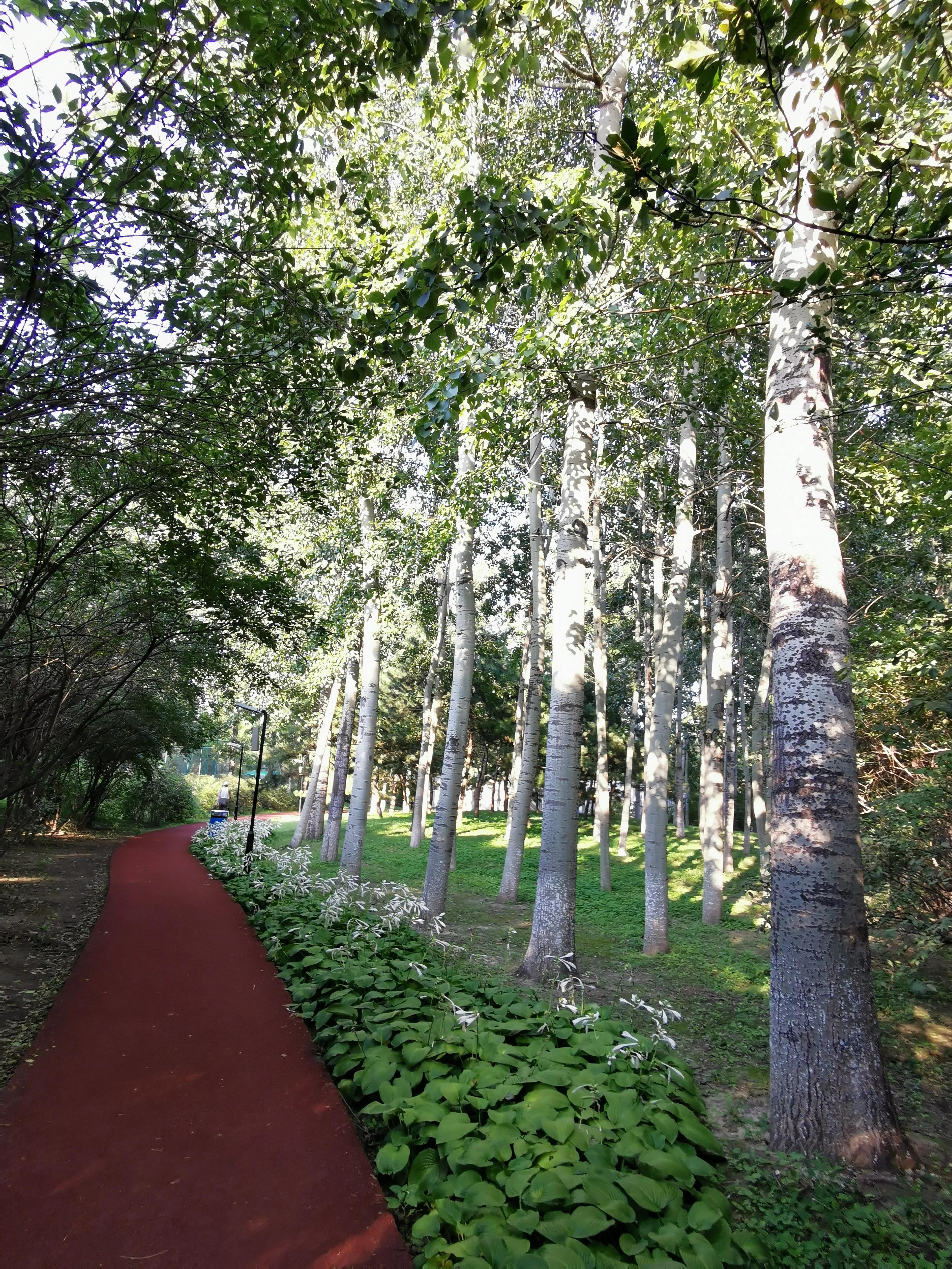 奥森南园里的小动物园,奥森公园南园