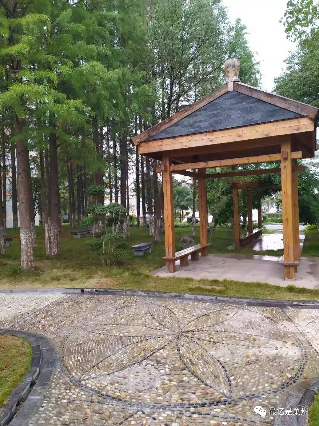 走入初中新校园,巢湖市迈进初级中学