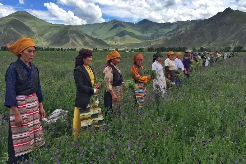 补贴来了速看领取方式,惠民一卡通都能领什么补贴